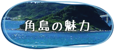 角島の魅力